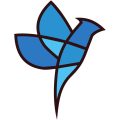 airnex fb